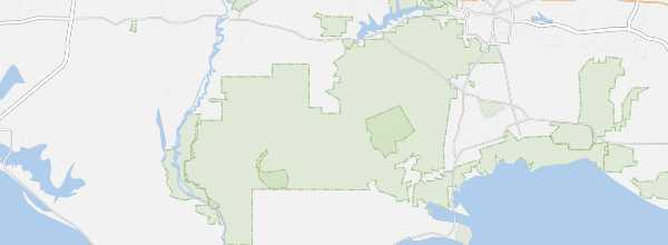 Map of Apalachicola National Forest